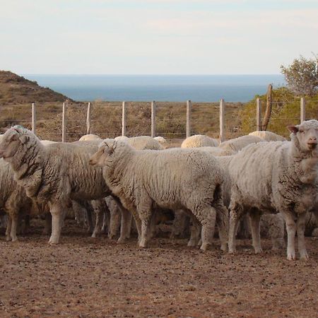 La Antonieta Estancia De Mar Dos Pozos エクステリア 写真