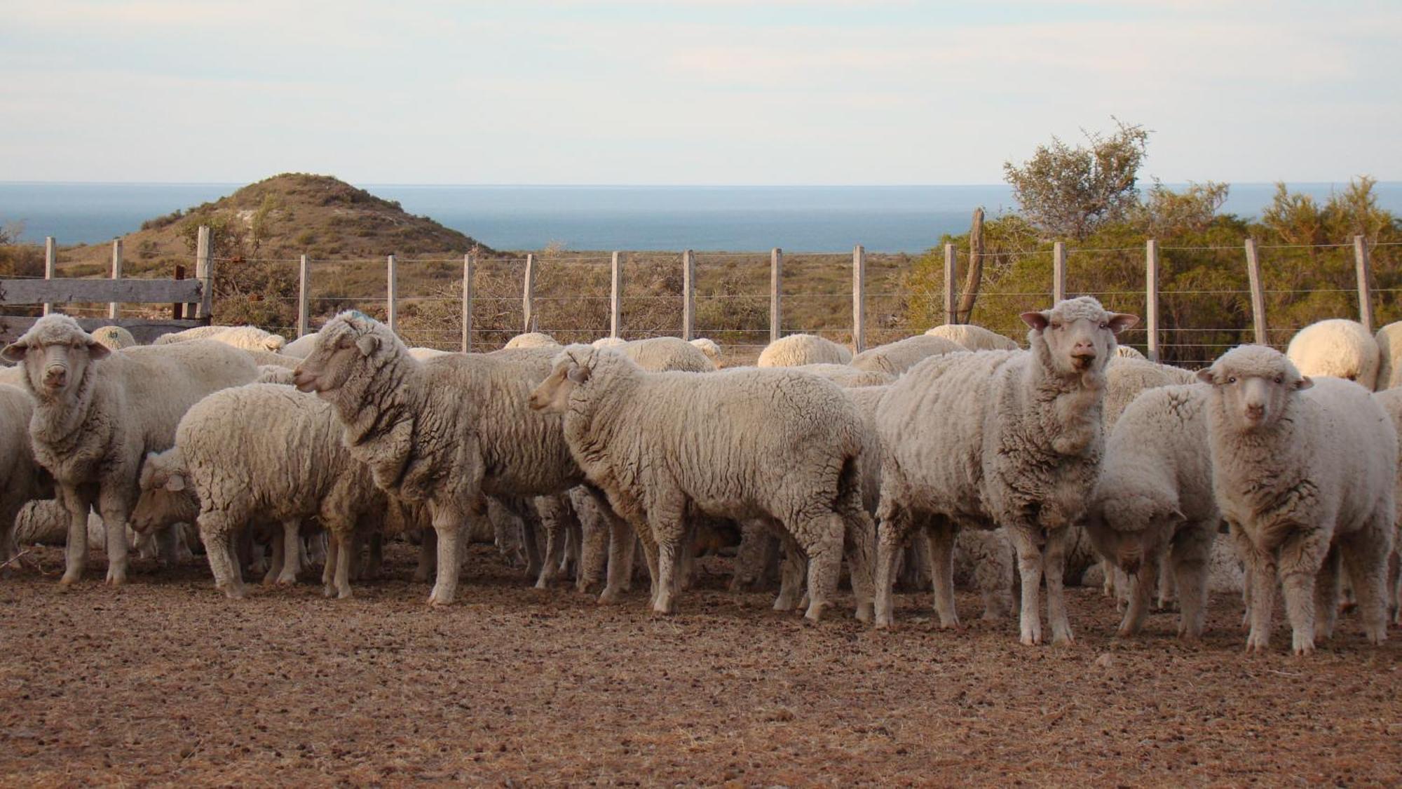 La Antonieta Estancia De Mar Dos Pozos エクステリア 写真