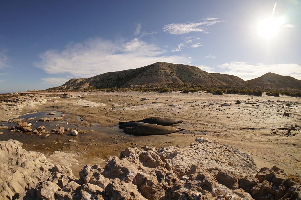 La Antonieta Estancia De Mar Dos Pozos エクステリア 写真