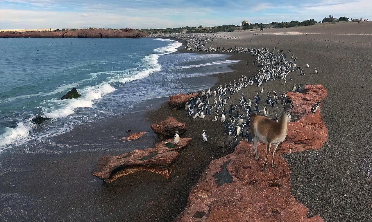 La Antonieta Estancia De Mar Dos Pozos エクステリア 写真