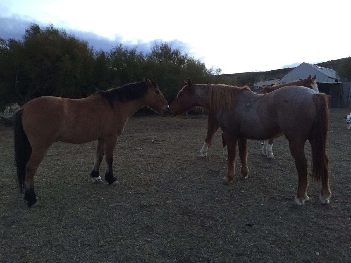 La Antonieta Estancia De Mar Dos Pozos エクステリア 写真