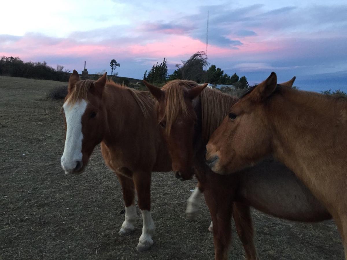 La Antonieta Estancia De Mar Dos Pozos エクステリア 写真