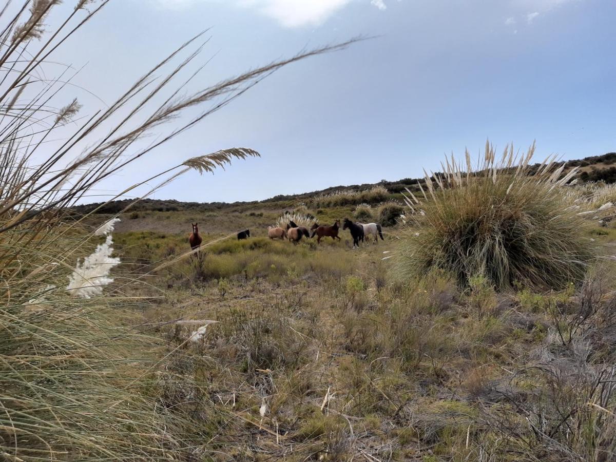 La Antonieta Estancia De Mar Dos Pozos エクステリア 写真
